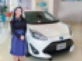 メス豚マゾ女の交尾映像晒します　【やばいぞ29歳ＯＬ】異常事態 高級外車ディラー 受付♀ 終業後、最高感度の乳首引っ張るだけで悶絶。バイブで串刺し理性崩壊アクメ。中出し【肉便器】